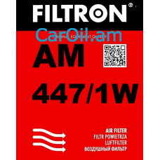 Filtron AM 447/1W